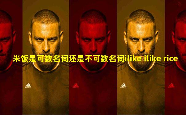 米饭是可数名词还是不可数名词ilike ilike rice